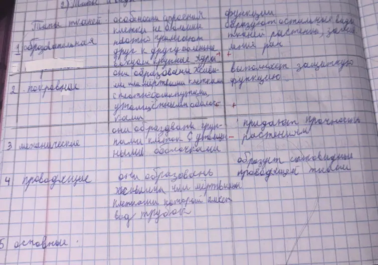 Заполни таблицу про типы тканей растений.