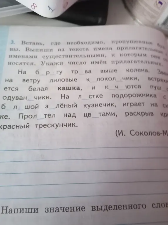 Вставь пропущенные буквы, выпиши из текста имена прилагательные с именами существительными, к которым они относятся, укажи число имён прилагательных и напиши значение выделенного слова.