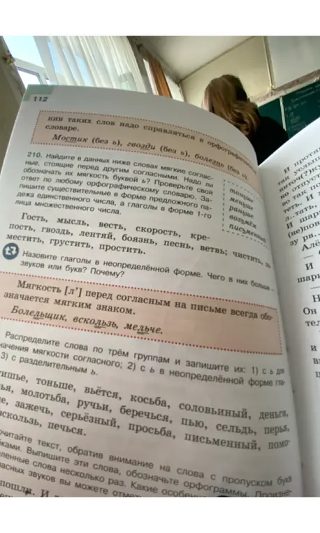 Найди в словах мягкие согласные, стоящие перед другими согласными, проверь свой ответ по словарю, запиши существительные в предложном падеже единственного числа, а глаголы в форме 1-го лица множественного числа.