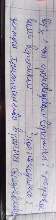 Что проповедовали веретики? Что протводовали веретики, где находились два центра христианства в раннее средневековье?