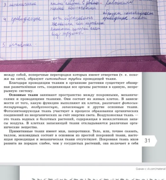 Напиши функцию основных тканей.