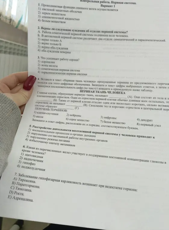 Ответь на вопросы по нервной системе.