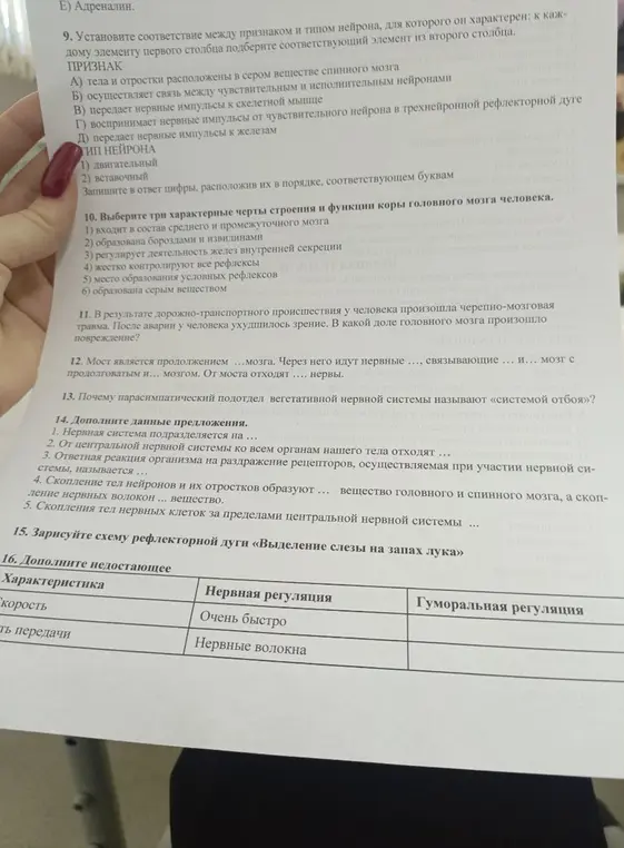 Установи соответствие между признаком и типом нейрона; выбери три характерные черты строения и функции коры головного мозга человека; дополни предложения; зарисуй схему рефлекторной дуги «Выделение слезы на запах лука»; дополни недостающее