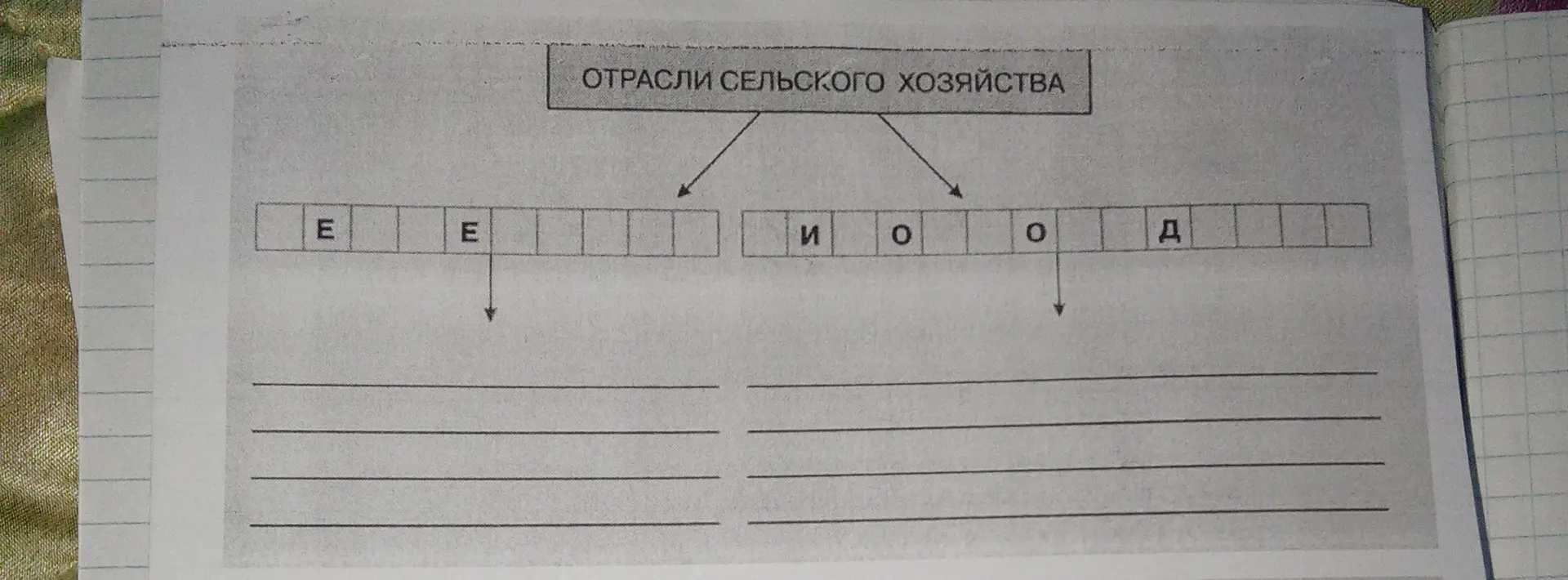 Определи отрасли сельского хозяйства по буквам