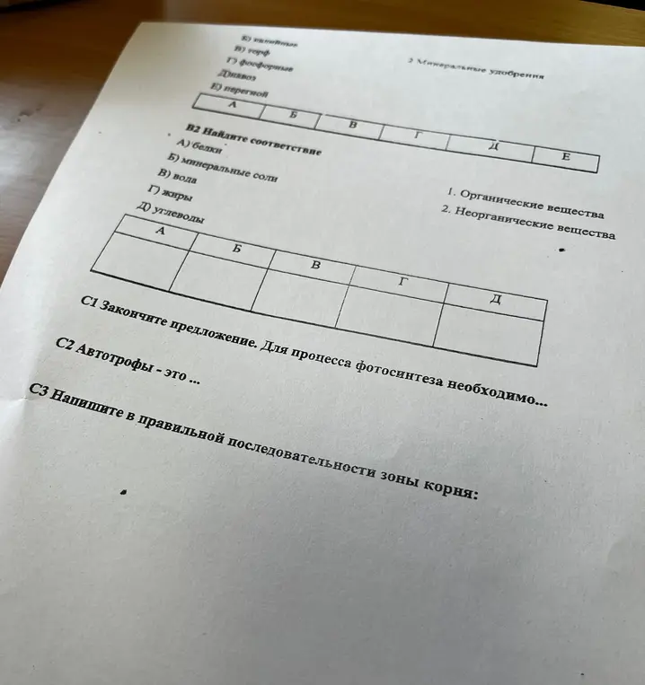 Найди соответствие в заданиях B1 и B2, закончи предложение в C1, дай определение в C2 и напиши последовательность зон корня в C3.