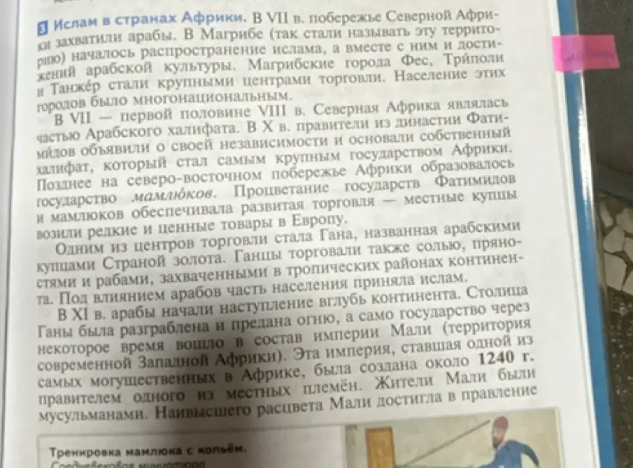 Кратко перескажи текст про ислам в странах Африки