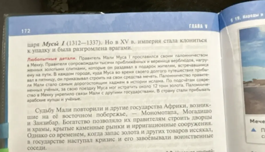 Кратко перескажи текст про ислам в странах Африки