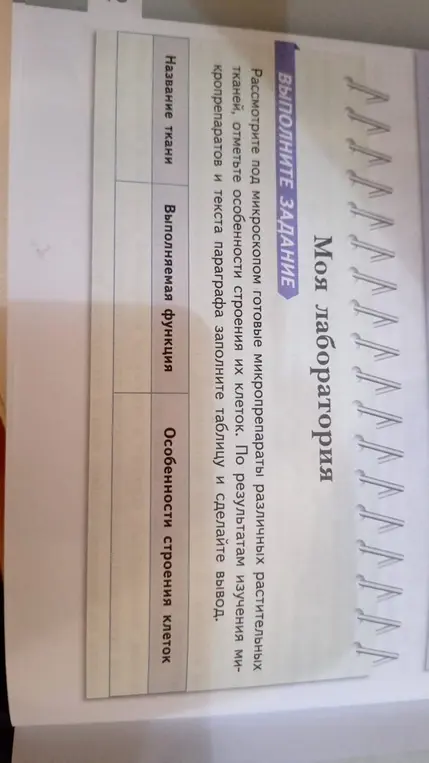 Заполни таблицу о растительных тканях, указав название ткани, выполняемую функцию и особенности строения клеток.