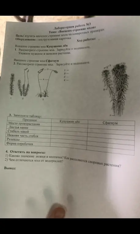 Заполни таблицу по признакам кукушкина льна и сфагнума, ответь на вопросы о значении ножки и колпачка, способах расселения споровых растений и отличиях мхов от водорослей.