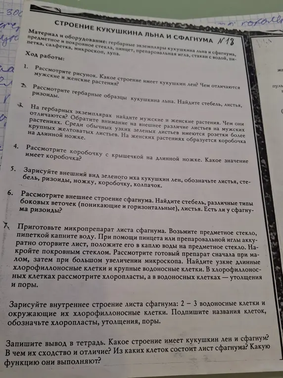 Определи строение кукушкина льна и сфагнума.