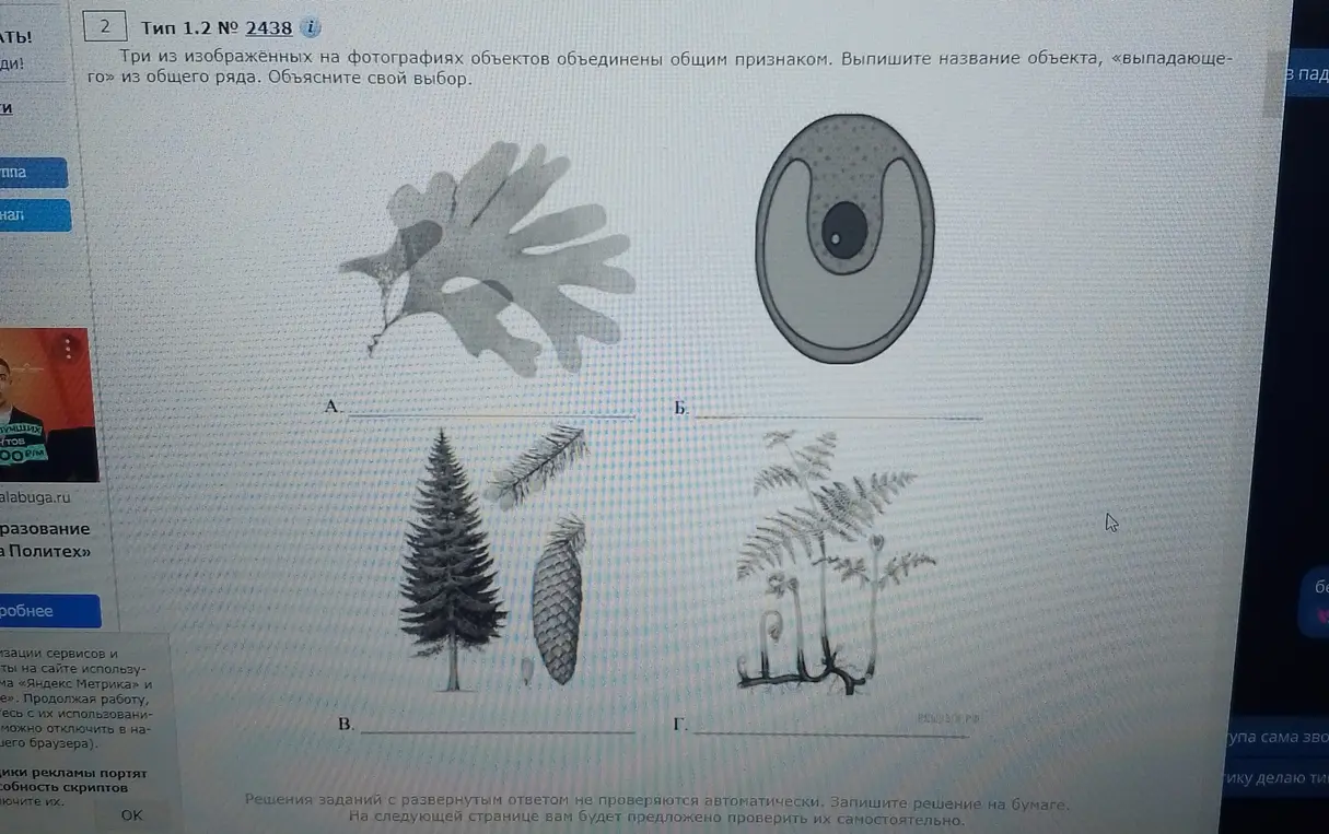 Определи объект, выпадающий из общего ряда на фотографиях, где изображены водоросль, клетка, сосна и папоротник, и объясни свой выбор.