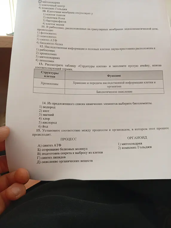 Рассмотри таблицу «Структуры клетки» и заполни пустую ячейку, вписав соответствующий термин.