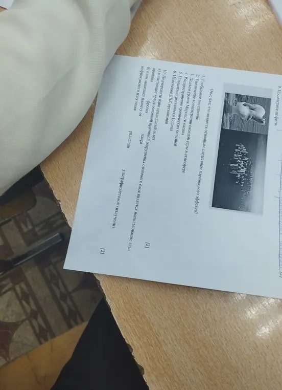 Отметь, что является основным следствием парникового эффекта и подчеркни один правильный ответ.