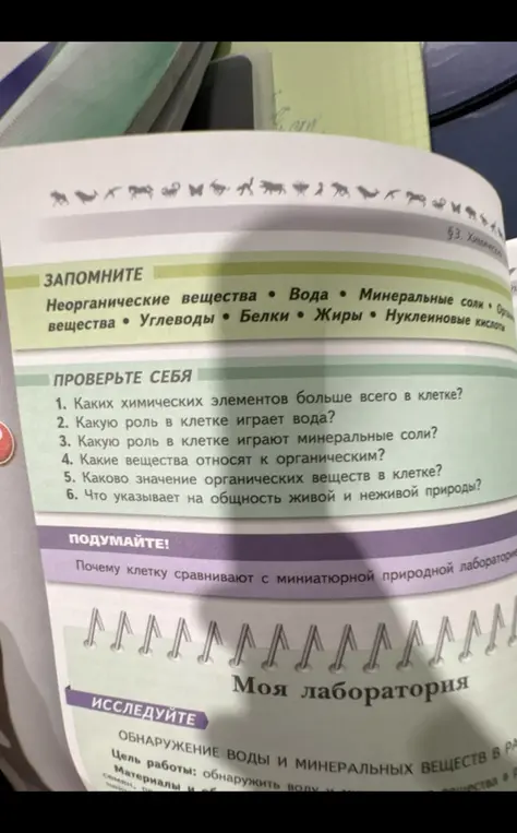 Ответь на вопросы по биологии: 1. Каких химических элементов больше всего в клетке?