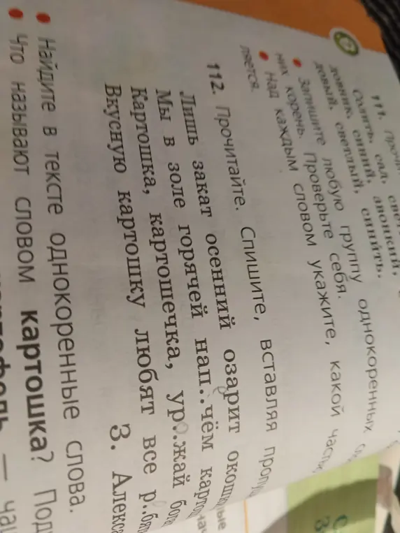 Найди в тексте однокоренные слова к слову картошка и скажи, что называют словом картошка.