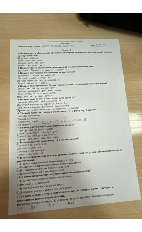 Ответь на вопросы по русскому языку: о пропущенных буквах, знаках препинания и членах предложения.