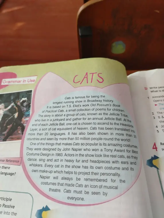 Расскажи о мюзикле "CATS"