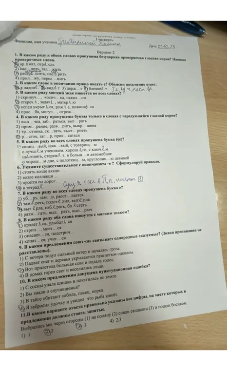 Выполни задания по русскому языку: вставь буквы, укажи существительное с окончанием -е, определи предложение с однородными сказуемыми и пунктуационной ошибкой, укажи вариант ответа с правильно расставленными запятыми.
