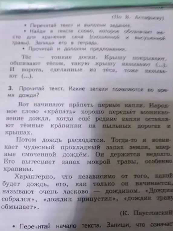 Какие запахи появляются во время дождя?