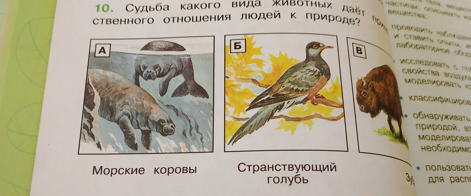 Определи, судьба какого вида животных даёт пример безответственного отношения людей к природе.