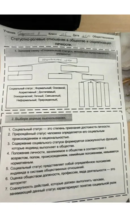 Заполни схему «Социальный статус», используя предложенные элементы. Выбери верные высказывания.