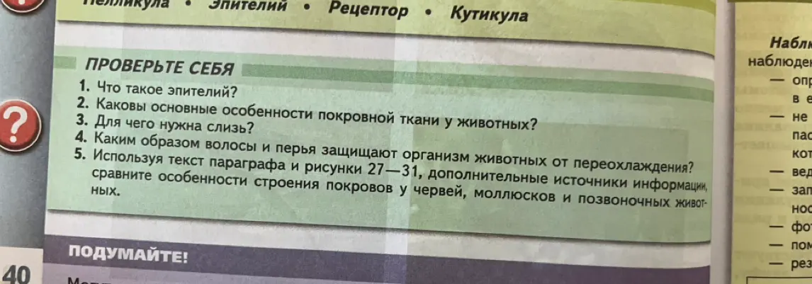 Ответь на вопросы: Что такое эпителий? Каковы основные особенности покровной ткани у животных? Для чего нужна слизь? Каким образом волосы и перья защищают организм животных от переохлаждения? Сравни особенности строения покровов у червей, моллюсков и позвоночных животных, используя текст параграфа и рисунки 27-31, дополнительные источники информации.