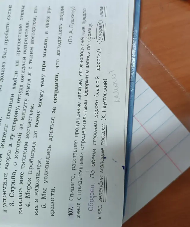 Спиши, расставляя пропущенные запятые, сложноподчинённые предложения с придаточными определительными. Оформи запись по образцу.