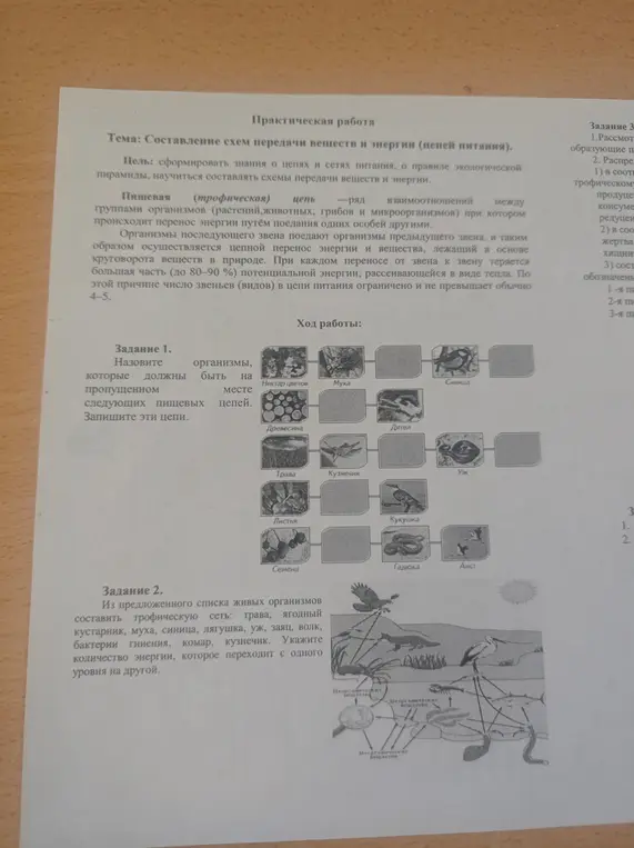 Реши задания по практической работе по биологии.