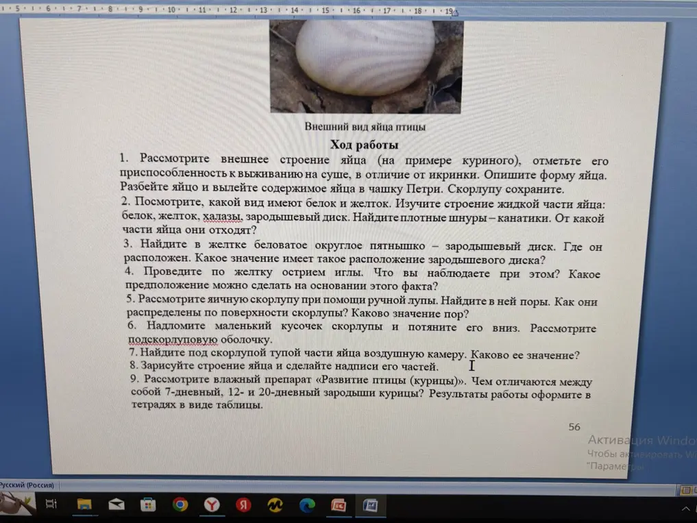 Рассмотри внешнее строение яйца, отметь его приспособленность к выживанию на суше, в отличие от икринки.