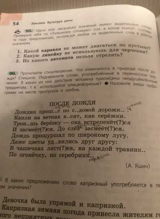 Ответь на вопросы к упражнениям 95 и 96 из учебника русского языка.