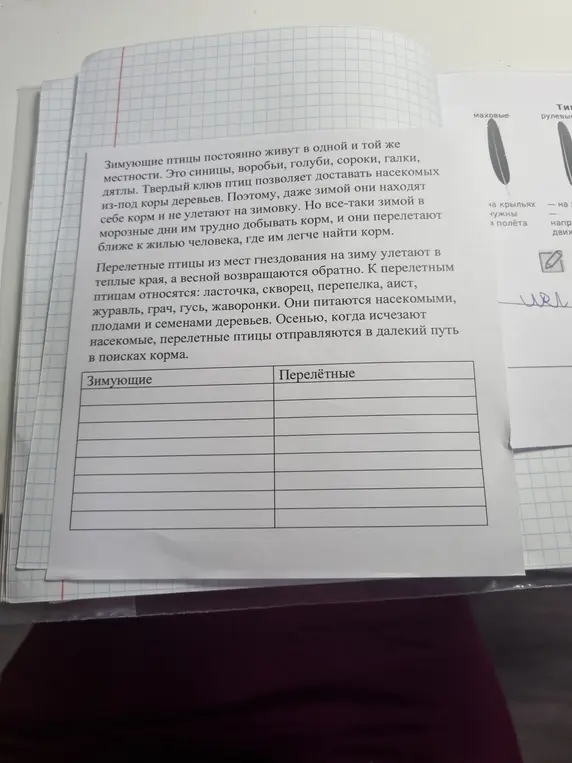 Заполни таблицу: распредели зимующих и перелётных птиц из текста.