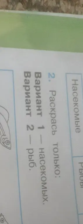 Раскрась только насекомых.