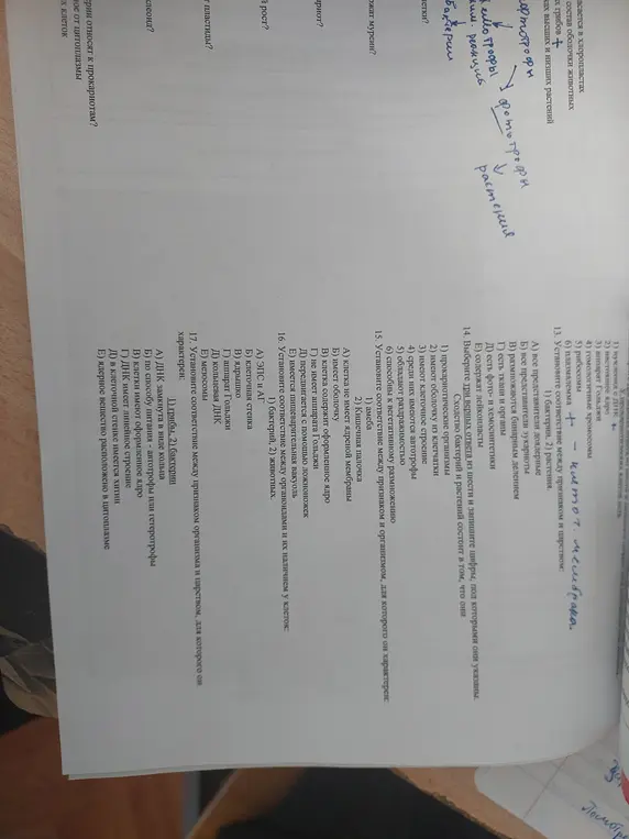 Установи соответствие между признаком и царством для бактерий и растений; выбери три верных ответа о сходствах бактерий и растений; установи соответствия между признаком и организмом; установи соответствие между органоидами и наличием их у клеток; установи соответствие между признаком организма и царством.