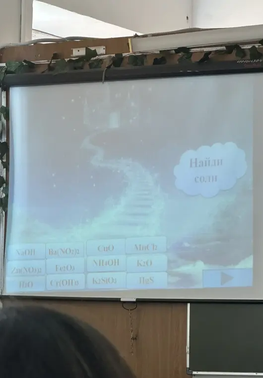 Найди соли среди предложенных веществ: NaOH, Ba(NO2)2, CuO, MnCl2, NH4OH, Zn(NO3)2, Fe2O3, K2O, H2O, Cr(OH)3, K2SiO3, HgS.