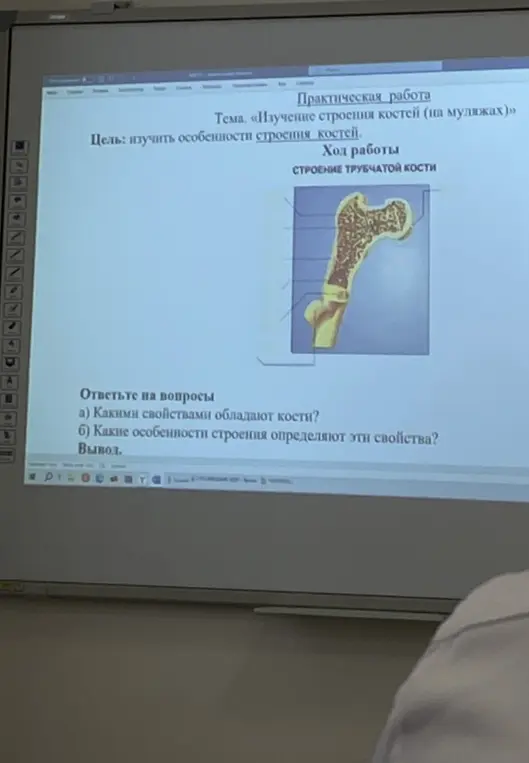 Ответь на вопросы: какими свойствами обладают кости и какие особенности строения определяют эти свойства.
