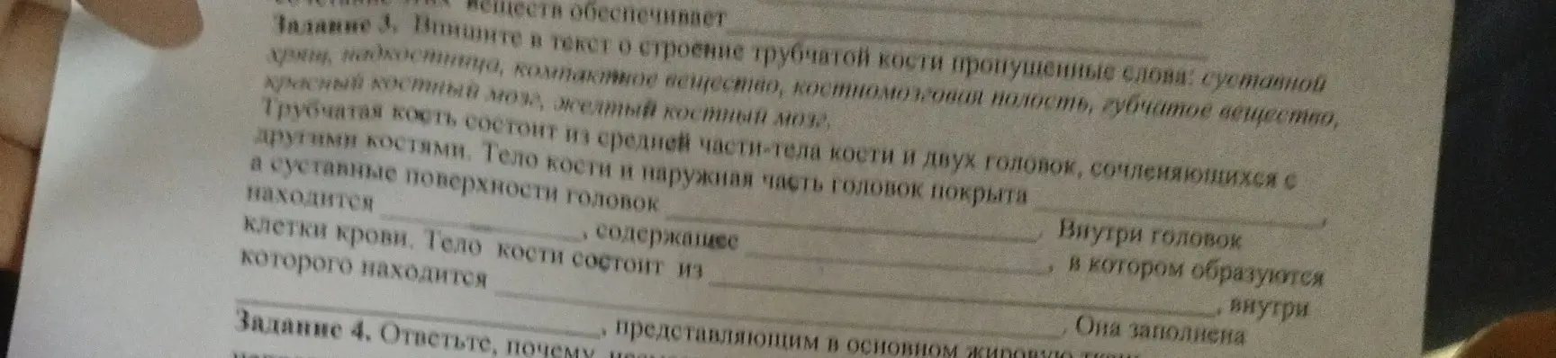 Впиши в текст о строении трубчатой кости пропущенные слова: суставной хрящ, надкостница, компактное вещество, костномозговая полость, губчатое вещество, красный костный мозг, желтый костный мозг.