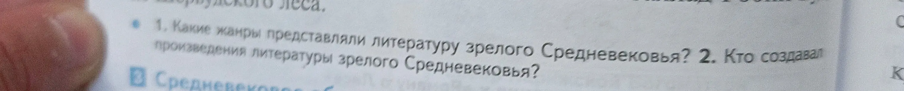 Какие жанры представляли литературу зрелого Средневековья? Кто создавал произведения литературы зрелого Средневековья?
