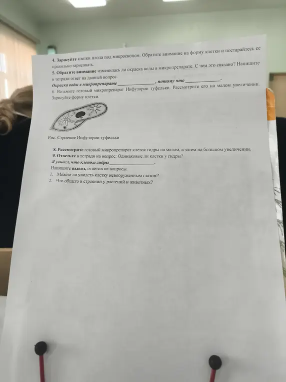 Ответь на вопросы о микропрепарате и клетках гидры.