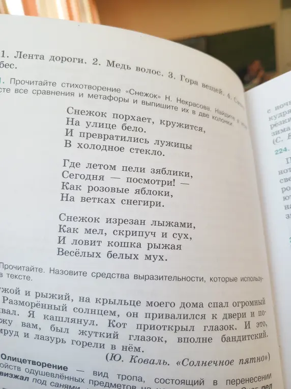 Найди в стихотворении «Снежок» Н. Некрасова все сравнения и метафоры и выпиши их в две колонки.