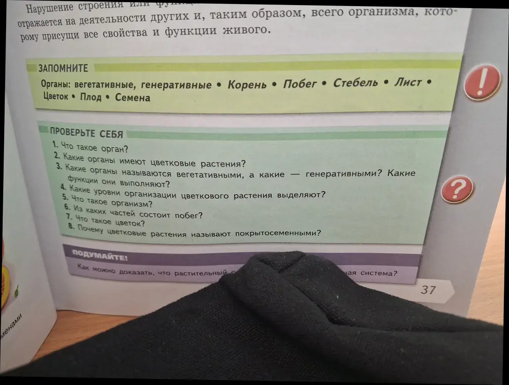 Ответь на вопросы: Что такое орган? Какие органы имеют цветковые растения? Какие органы называются вегетативными, а какие — генеративными? Какие функции они выполняют? Какие уровни организации цветкового растения выделяют? Что такое организм? Из каких частей состоит побег? Что такое цветок? Почему цветковые растения называют покрытосеменными?