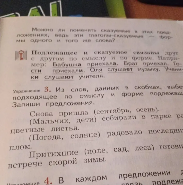Из слов в скобках выбери подходящее по смыслу и форме подлежащее и запиши предложения.