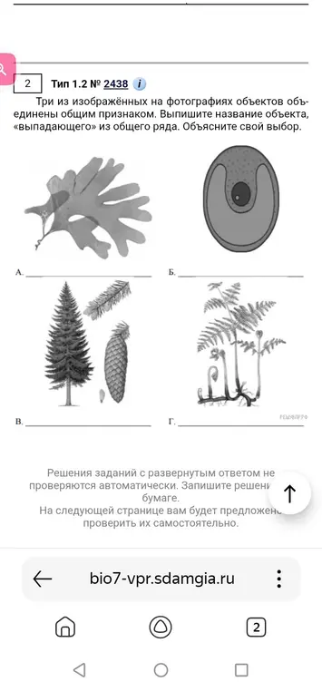 Выпиши название объекта, «выпадающего» из общего ряда, и объясни свой выбор.