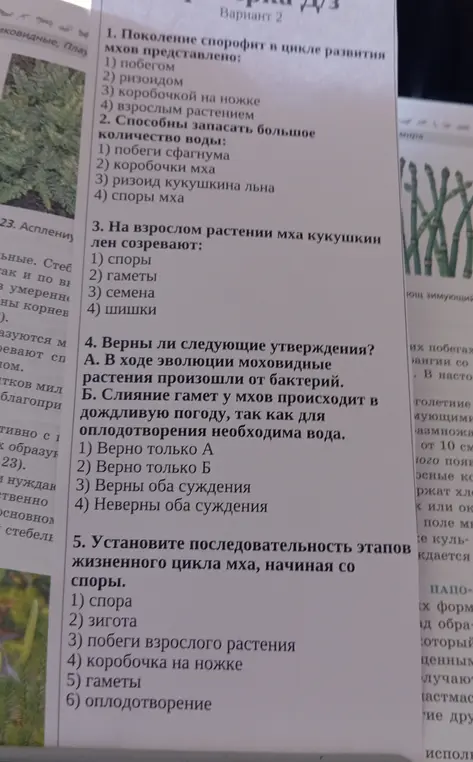 Ответь на вопросы по биологии: про спорофит мхов, запасание воды, созревание на растении, утверждения про моховидные и последовательность этапов.