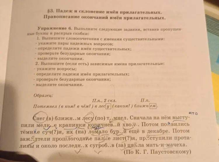 Выполни упражнение, вставь пропущенные буквы и раскрой скобки.