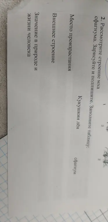 Рассмотри строение мха сфагнума, зарисуй и подпиши, заполни таблицу.