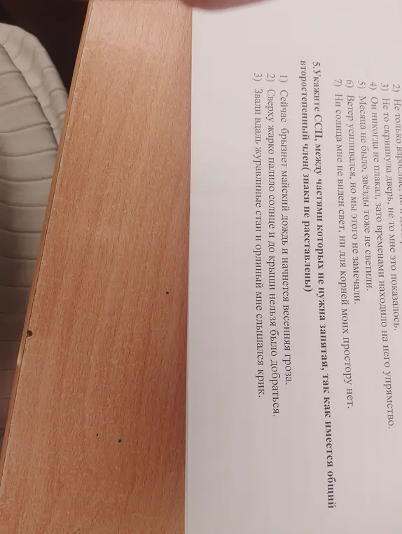 Найди ССП, между частями которых не нужна запятая, так как имеется общий второстепенный член.