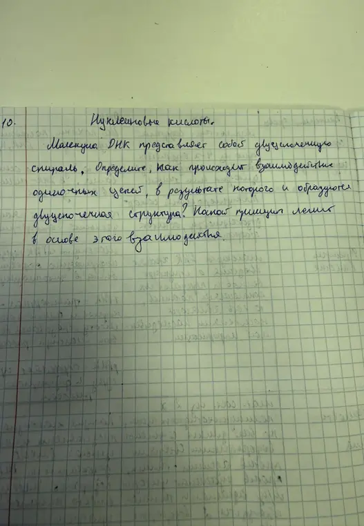 Определи, как происходит взаимодействие одиночных цепей, в результате которого образуется двуцепочечная структура, и какой принцип лежит в основе этого взаимодействия.