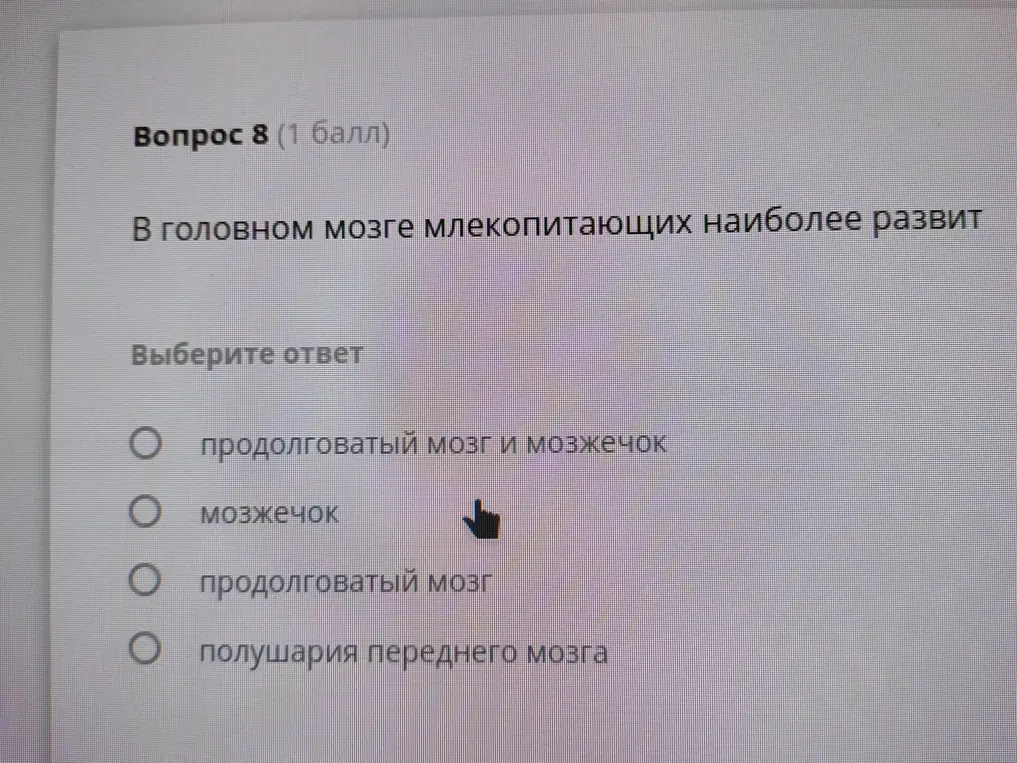 Определи, что наиболее развито в головном мозге млекопитающих.