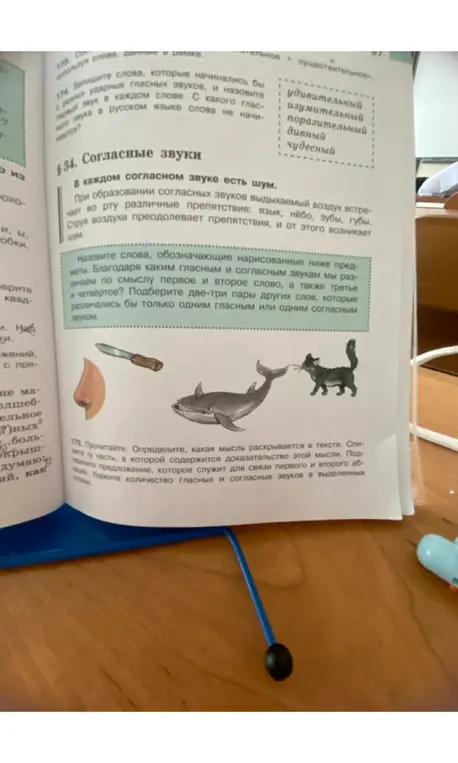 Ответь на упражнения 174, 175 и 176.