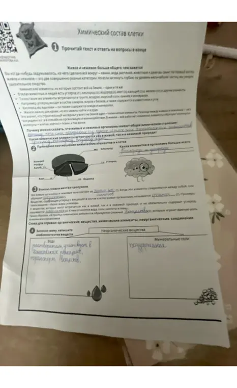 Прочитай текст и ответь на вопросы в конце, заполни пропуски и схему про химический состав клетки.
